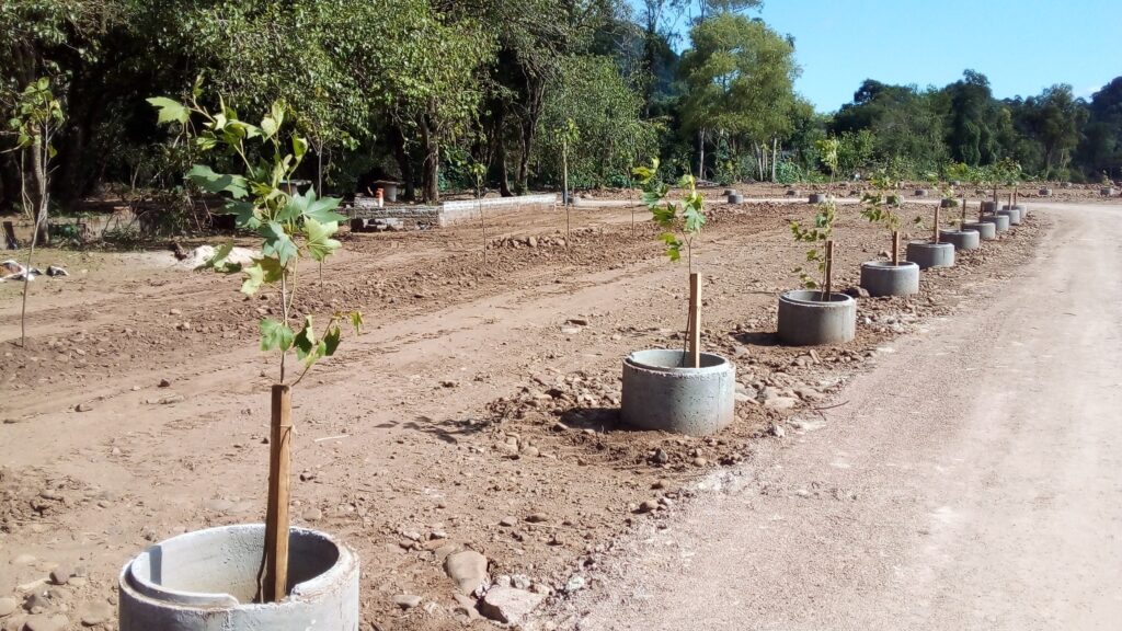 469931273_590466530041807_3913049873170470539_n-1024x576 Nova Palma intensifica esforços para reabertura do balneário municipal