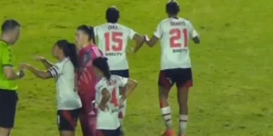 Captura-de-tela-2024-12-21-204708