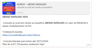 Captura de tela 2024-12-30 122458