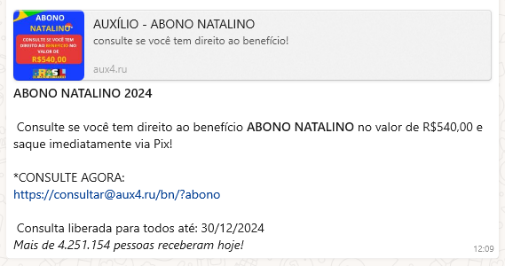Captura de tela 2024-12-30 122458