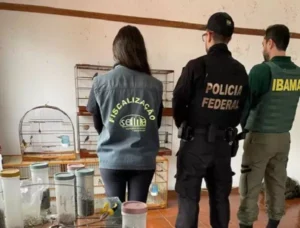 POLÍCIA FEDERAL IBAMA