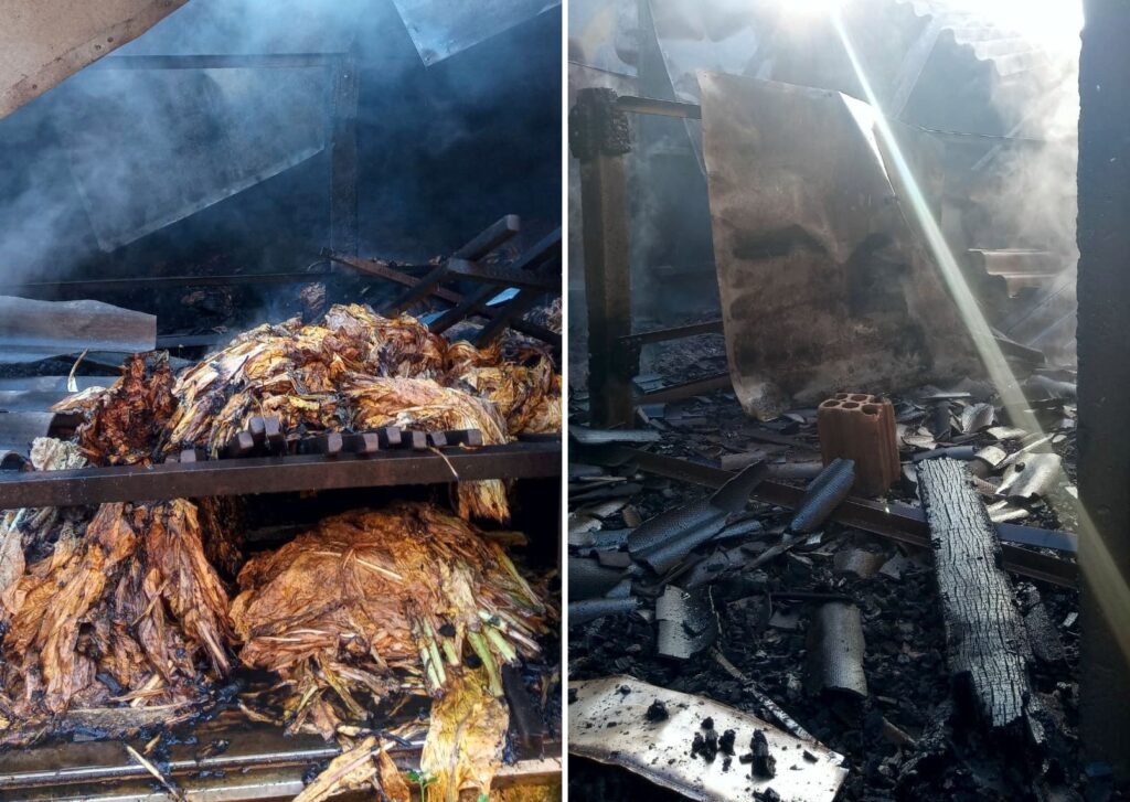 werertergytsrethgwrhrthr-1024x727 Incêndio destrói estufa de fumo no interior de Agudo