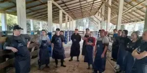 Emater-CUrsos