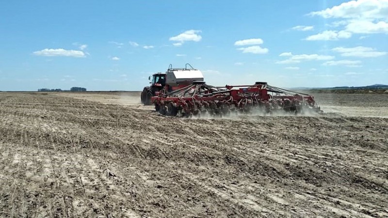 PLANTAÇÃO DE ARROZ SEMEADURA MÁQUINA