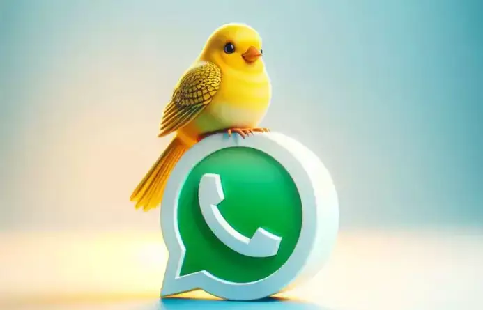 2025-01-30-223905