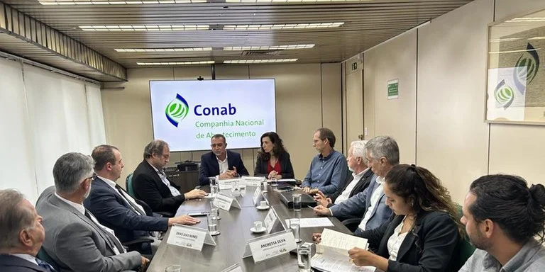 image-3 Governo vai comprar excedente de arroz para conter queda de preços e garantir renda aos produtores