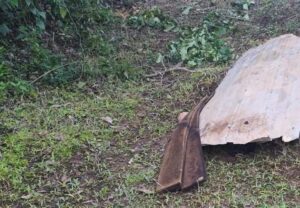 img-20250711-wa03332842398767147663931-300x208 Motorista de aplicativo é encontrado morto em Santa Cruz do Sul, Polícia investiga latrocínio.